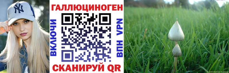 Псилоцибиновые грибы прущие грибы  цена наркотик  Емва 